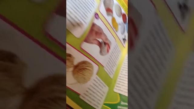 Обзор на мой журнал "Барбоскины" смотреть онлайн