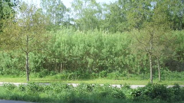 Seattle Steam and District Energy смотреть онлайн