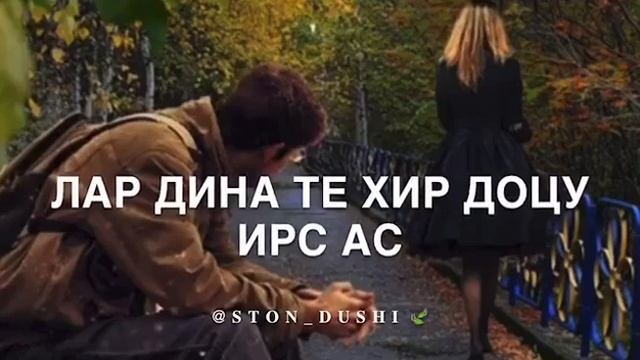 безам😍❤ смотреть онлайн