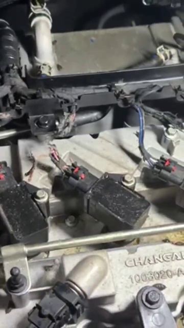 крысы сожрали амоду смотреть онлайн