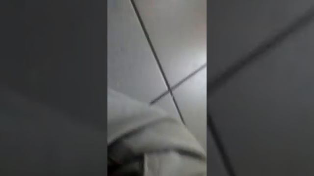 Ma chienne Izzy et Mon chat Neptune смотреть онлайн