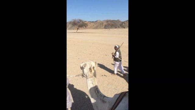 Marsa Alam смотреть онлайн