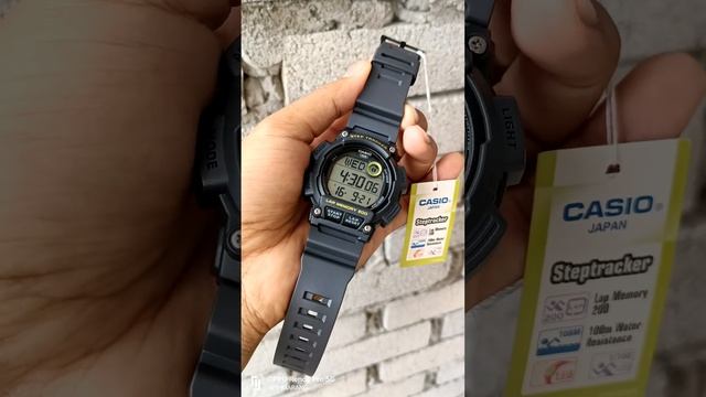 CASIO ORIGINAL WS-2100H-8A STEP TRACKER смотреть онлайн