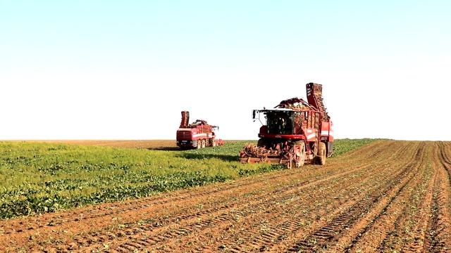 Doublé de REXOR GRIMME 630/620 смотреть онлайн