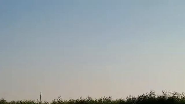 НЛО г.Семей кривые озёра смотреть онлайн