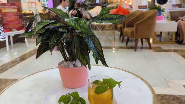 Asteria Comodo Nha Trang Hotel, Нячанг, Вьетнам обзор отеля Астерия Комодо. Набережная и Рестораны смотреть онлайн