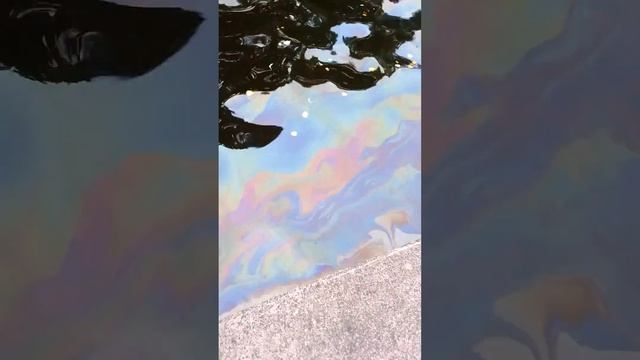 экологическая катастрофа смотреть онлайн