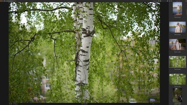 Meike 50mm F1.2 на полный кадр. Хочешь бокеху? смотреть онлайн