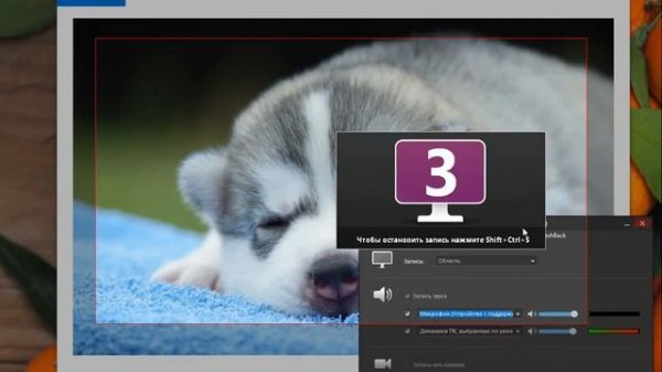 BB FlashBack Express как пользоваться ( BB FlashBack Express Обзор программы)