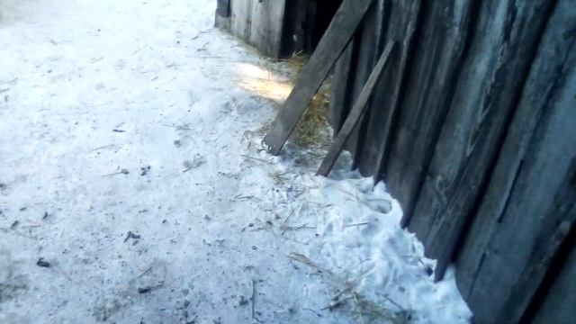 Кролики в декабрь 2019 года смотреть онлайн