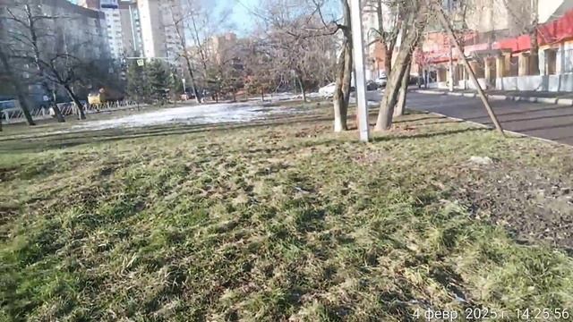 Погода в феврале - травка зеленеет, солнышко блестит.. смотреть онлайн