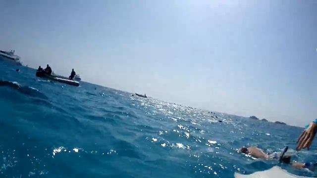 Dolphin house Marsa Alam смотреть онлайн