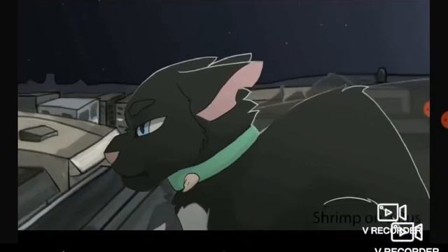 коты воители (дорошка 6) -клип смотреть онлайн