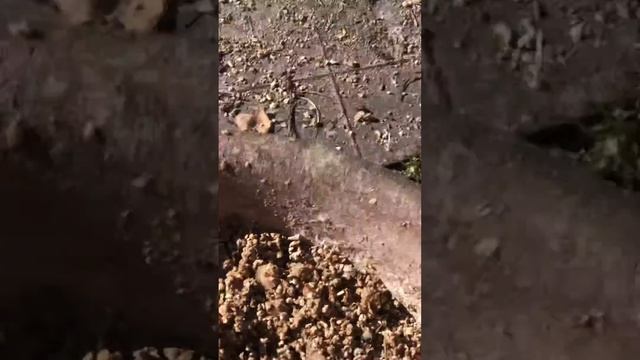 Муларды 68 дней. 17.09.2023 г. смотреть онлайн