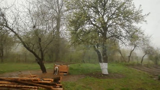 Вот вам и нажарило... Всё то же 12 мая, спустя два часа... смотреть онлайн