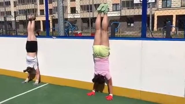 Упражнения в стойке на руках смотреть онлайн