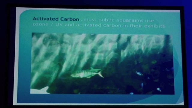 1. «Во имя изменения и улучшения экспозиций публичных аквариумов!» Ленг Су, EcoSystem Aquarium,  Кал