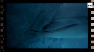 НОВЫЕ СЕРИАЛЫ ПРО ПОЛИЦИЮ 2024 года | Топ 10 Новых русских полицейских сериалов весны 2024