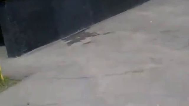 Мы подвергли мир безопасности)))