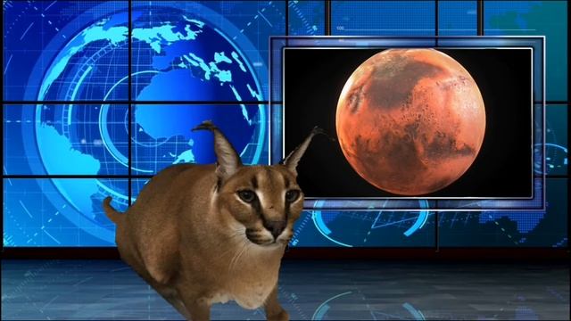 Новости про космос телепередача 2 выпуск смотреть онлайн