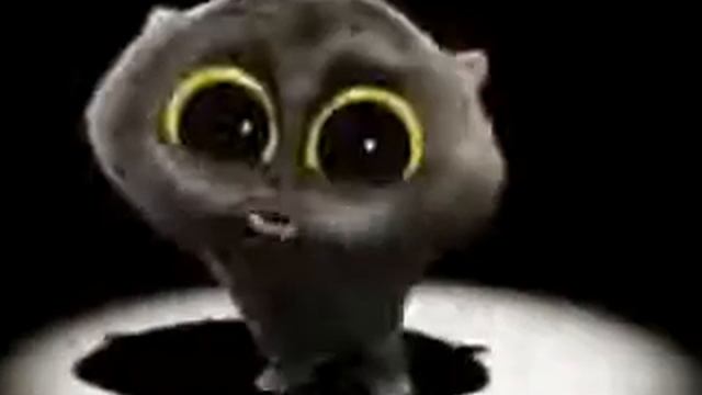 Кот танцует под песню пи папапапапу но 1 час!