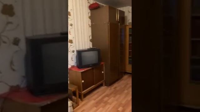 2-х комнатная квартира в районе метро Академическая смотреть онлайн