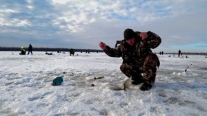 Зимняя рыбалка в астрахани .Ловля астраханской тарашки(густеры).Глухозимье нам нипочем.
