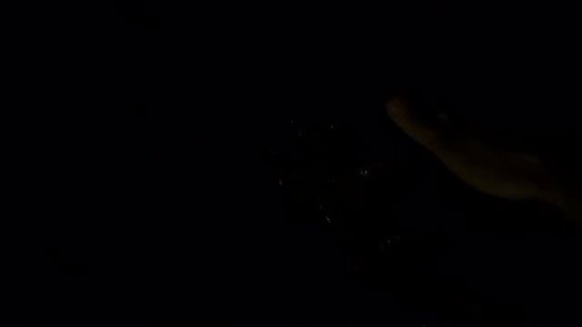 Supercharger Whine, Regal Gsx, Gen V Swap With 3.4 Pulley