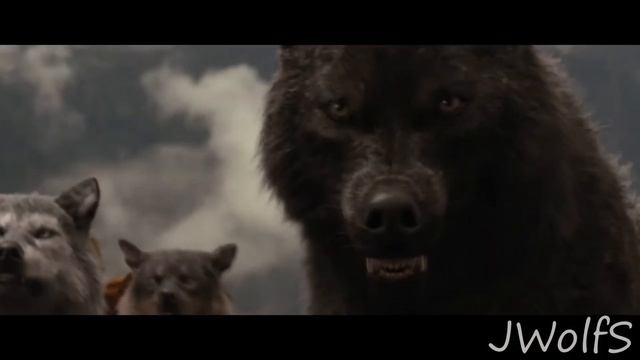 Сумерки,волки-Корабли