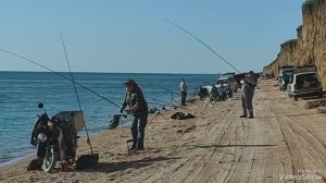 Однодневная сессия на Азовском море в погоне за пиленгасом🎣 #пеленгас #рыбалка #море