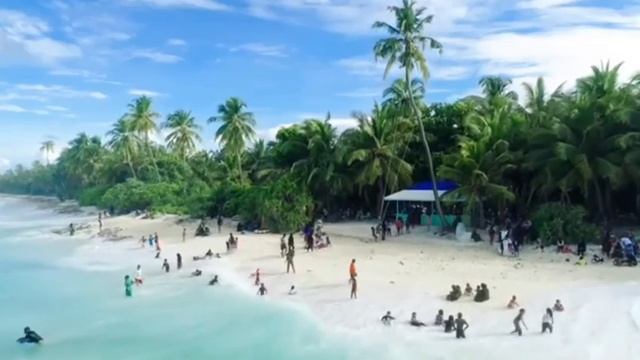 Why Panda Is Endangered? | Panda Endangered Species | PANDA | WHY?