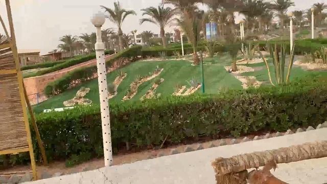 Отель Fantazia Resort Marsa Alam часть 1.Какой же этот отдых с европейцами??? смотреть онлайн