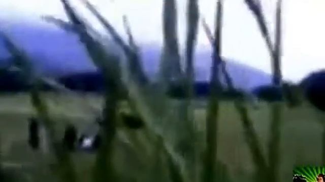 НЛО в Китае. смотреть онлайн