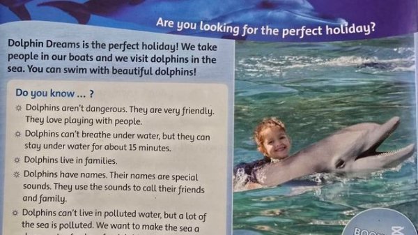 Family and Friends 3 | Dolphin Dreams 🐬