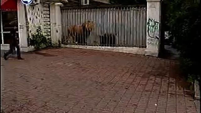 4к, уличное искусство смотреть онлайн