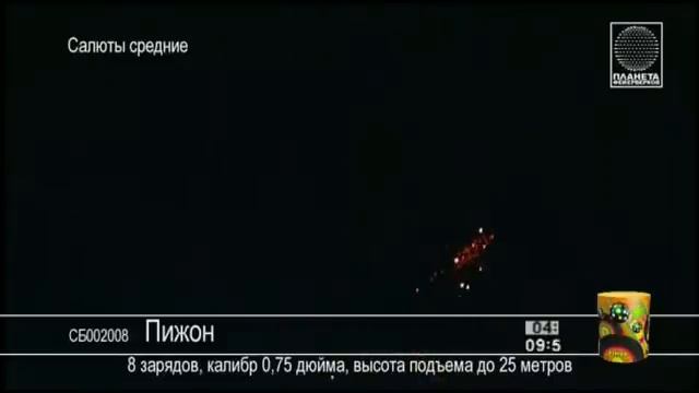 СБ002008 Пижон