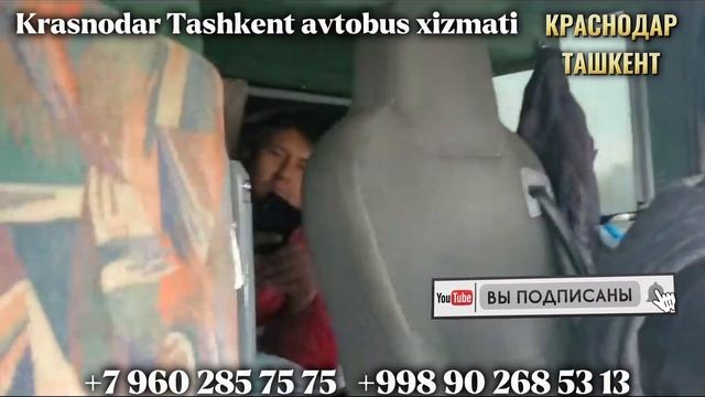 #автобус #краснодар #ташкент КРАСНОДАР-ТАШКЕНТ АВТОБУС,ростов-ташкент автобус смотреть онлайн