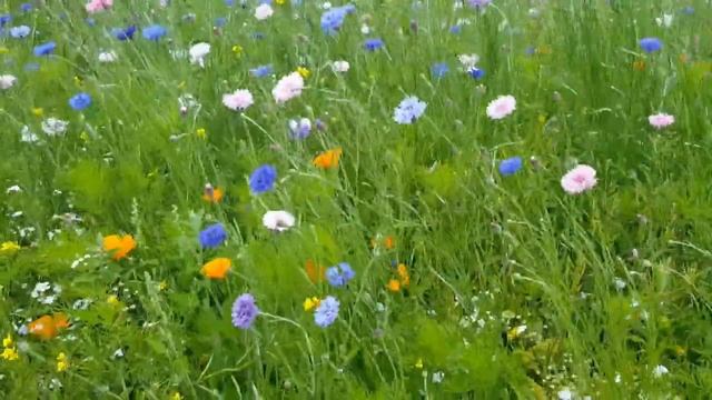 ♍ДЕВА - ГОРОСКОП на ИЮЛЬ 2020 смотреть онлайн