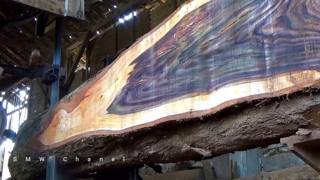 JANGAN Sekali-kali membeli kayu sonokeling monster jika kau takut akan kehancuran menimpamu. sawmil смотреть онлайн