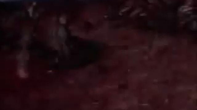 This Is War - Thirty Seconds To Mars (un-Offical Video) (fan Made)