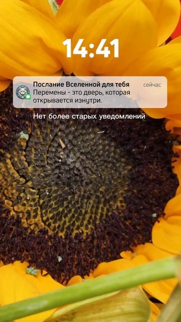 Тебе срочное сообщение!✨️ Лови удачу!💥💞💌 #знаки_вселенной #shorts #мечта #сила #победа #успех смотреть онлайн