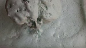 Pine Scented Comet, PineSol Original, PineSol blue, Dawn  10/10