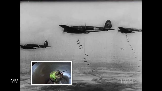 Sleeping Hummingbird WWII