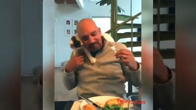 Смешные моменты смотреть онлайн