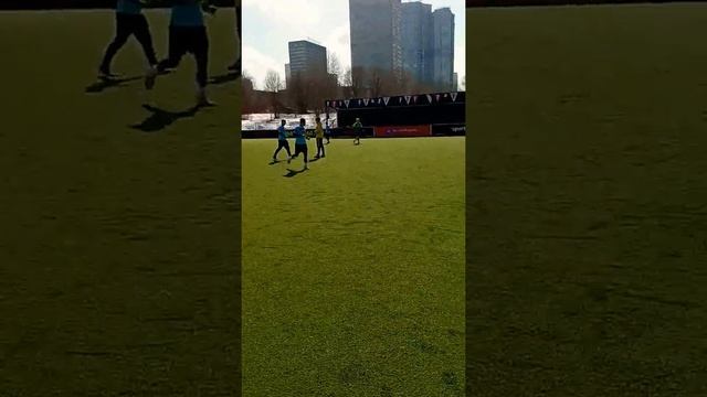 химик-сауствест