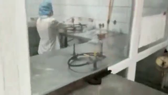 Preparation of the inoculum of Blakeslea trispora for the fermenters смотреть онлайн