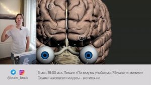 Нейробиология поведения. Гиппокамп