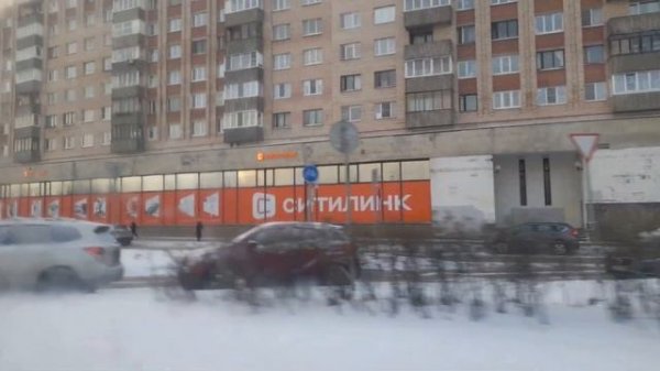 Автобус 255Б. Ст. м. Проспект Большевиков - Ст. м. Проспект Большевиков (кольцевой)