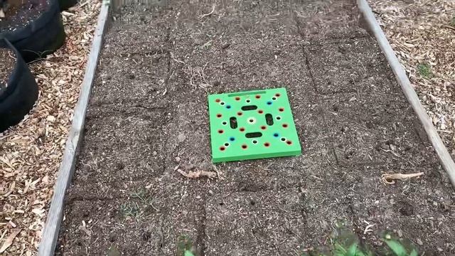 How to Grow Your Health With Super Food Okra! Sow seeds! смотреть онлайн