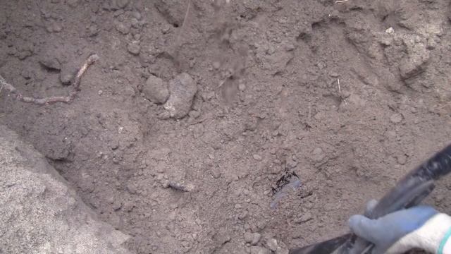 Бомбезні знахідки ...Коп на Заході України .#WW1 смотреть онлайн